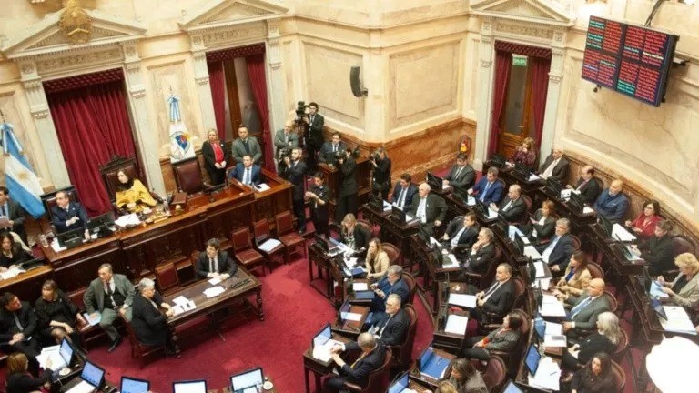 El Senado declaró la emergencia en pediatría