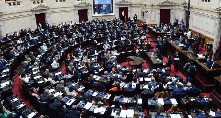Diputados convoca a sesión por universidades y Garrahan