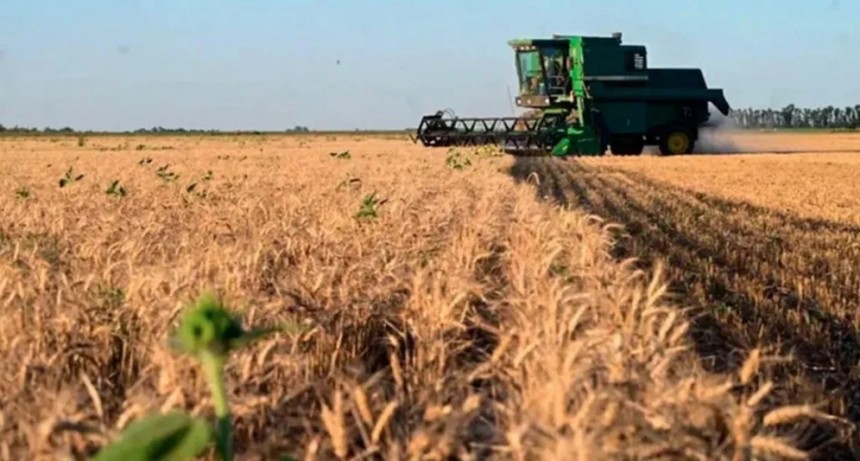 Tras la quita a minería, el campo reclama eliminar retenciones