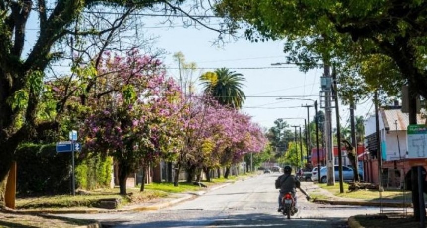 Tucumán con máximas de 26° y cielo despejado este martes