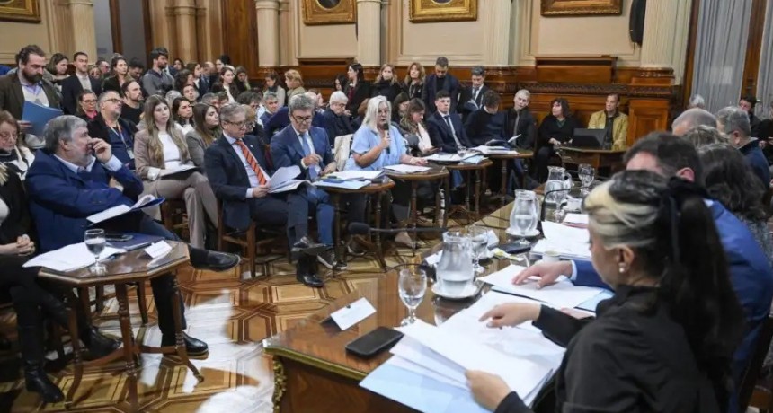 El Senado avanzó con emergencia en pediatría
