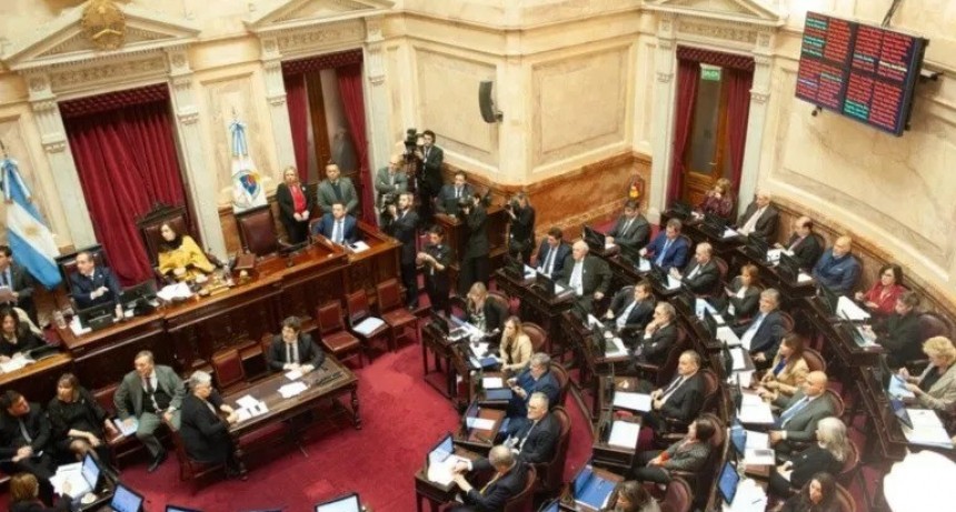 El Senado declaró la emergencia en pediatría