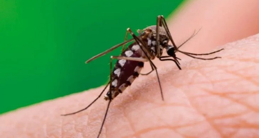 Tucumán intensifica lucha contra el dengue