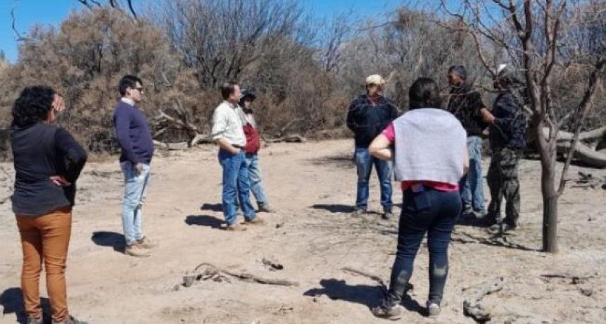 Evaluaron los daños causados por un incendio en bosques de Amaicha del Valle