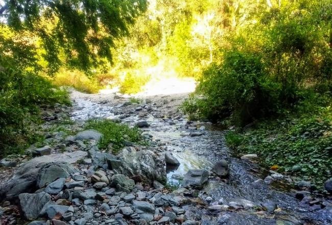 La SAT denunció robo de agua de la toma Piedras