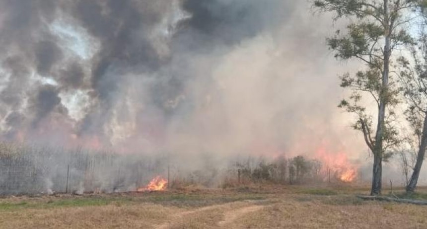 Sofocan un incendio cerca de la estación transformadora de El Bracho