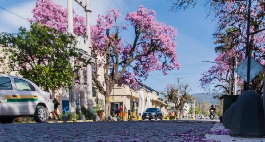 Tiempo: qué se espera para el fin de semana en Tucumán