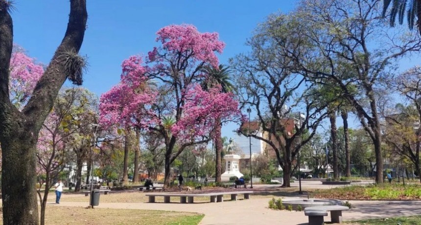Tiempo: se espera un martes cálido en Tucumán
