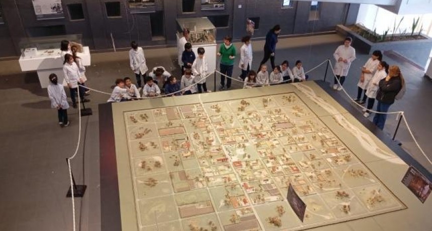 Visitas guiadas para recorrer la muestra 