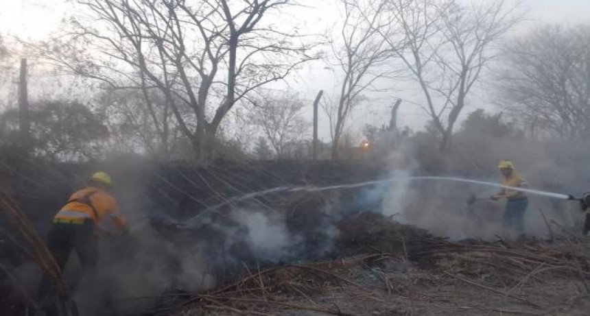 Incendio forestal en Lastenia: la rápida respuesta evitó mayores consecuencias