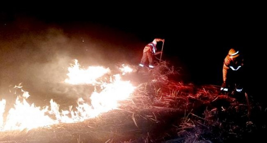 Sofocaron un incendio que amenazaba con avanzar hacia algunas casas