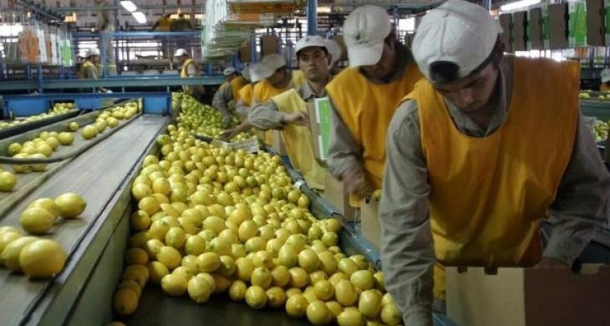 Tucumán impulsa las exportaciones regionales con un 5,2%