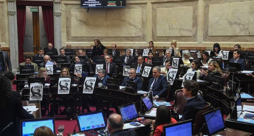 El Senado busca rechazar el veto a Ley de Discapacidad
