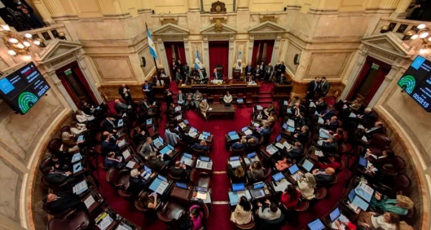Tras revés en el Senado, oficialismo gana tiempo sobre ley de discapacidad