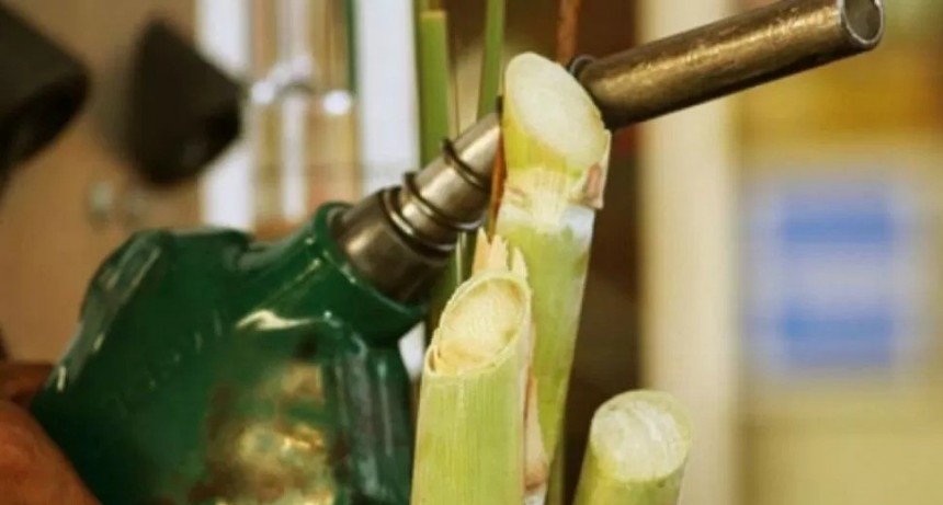  El Gobierno oficializó los nuevos precios de los biocombustibles para el mes de septiembre