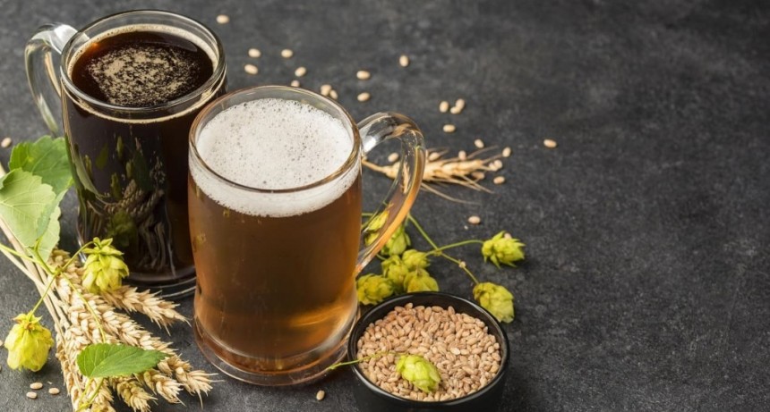 Buscan transformar residuos cerveceros en cervezas funcionales beneficiosas para la salud