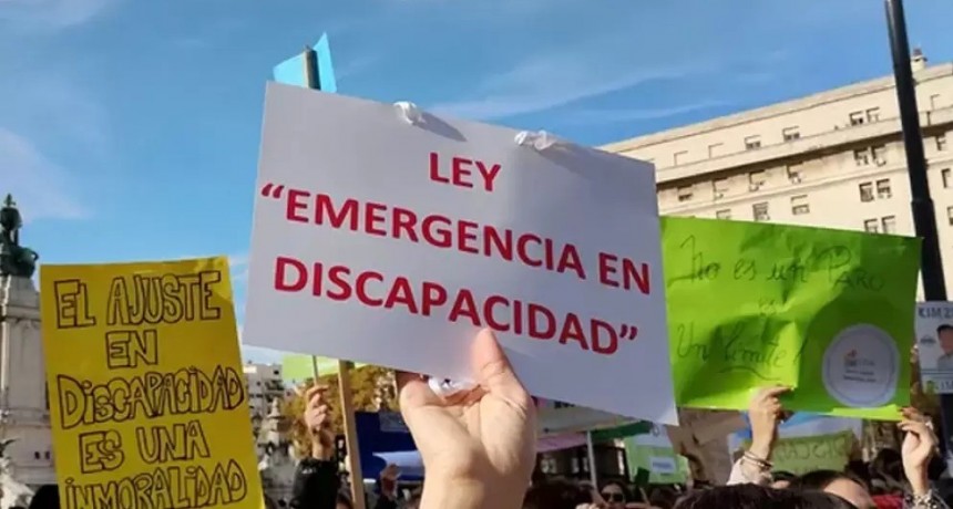 El Gobierno promulga pero congela la Ley de Emergencia en Discapacidad por falta de financiamiento