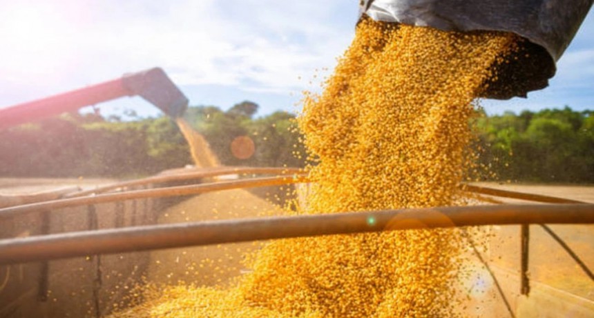  El Gobierno elimina por 40 días las retenciones a las exportaciones agropecuarias