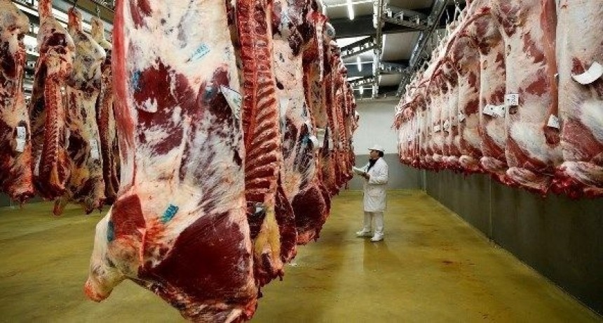 El Gobierno nacional oficializa la quita de retenciones a las exportaciones de carne bovina y avícola