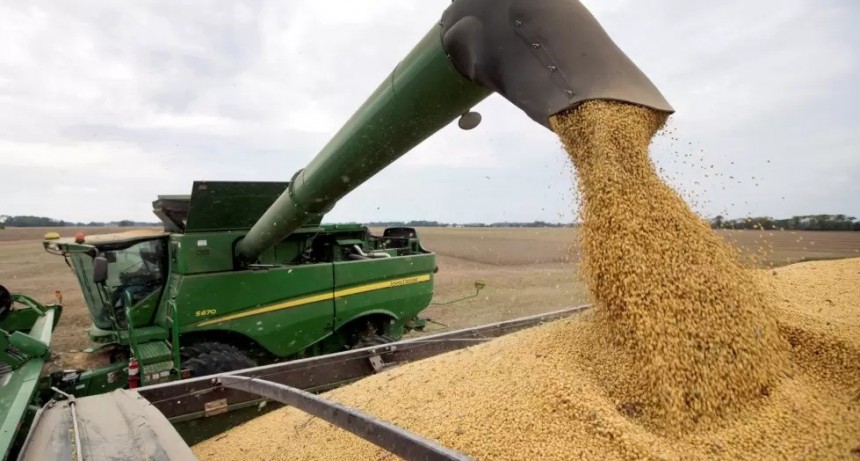 IARAF: la quita de retenciones tendría un costo fiscal de hasta US$1.600 millones