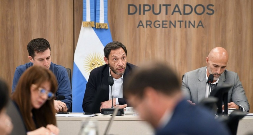 Diputados: comisiones investigadoras citan a funcionarios en medio de los casos ANDIS y Libra