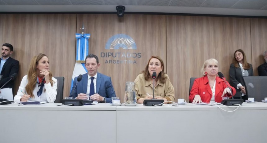 Diputados: tres mujeres al frente a la comisión investigadora por la tragedia del fentanilo