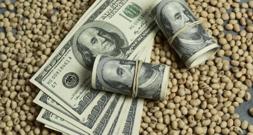 Reservas en recuperación: el Tesoro aprovechó la liquidación agropecuaria para comprar dólares a precio bajo