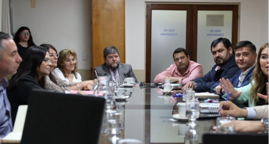 Carlos Ale cuestionó la falta de resultados en materia de higiene urbana en la ciudad, durante reunión de comisión erradicación de basurales 