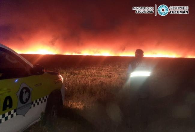 Atrapan a un pirómano tras prender fuego una zona de pastizales