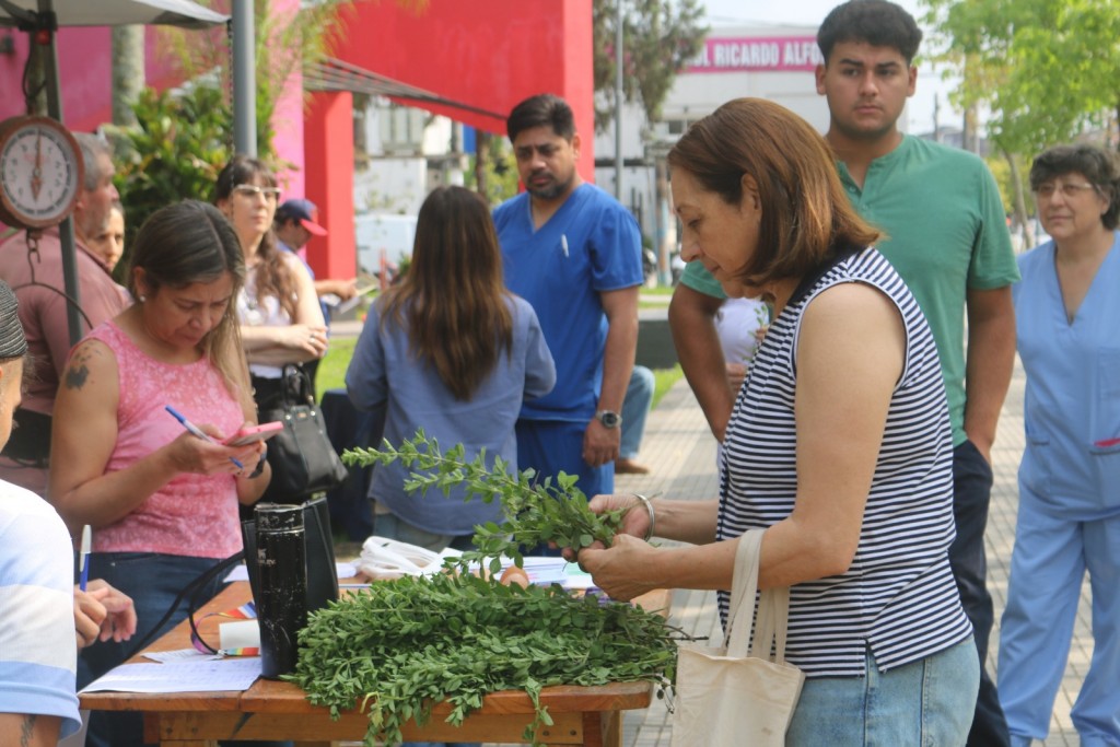 Éxito del mercadito agroecológico: productos frescos de la Granja Educativa Integral