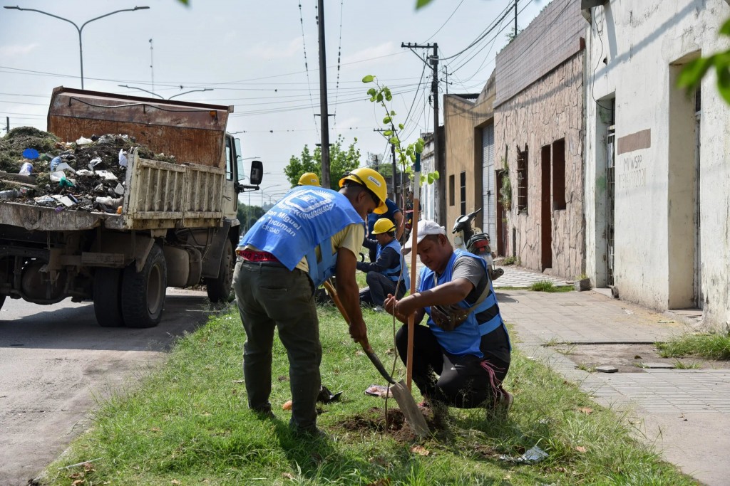 Reforestan la avenida Martín Berho, levantan basurales y podan árboles en Villa 9 de Julio