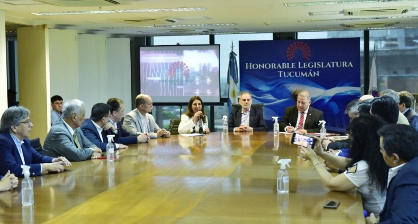 En la Legislatura se presentó el proyecto de ley sobre seguridad eléctrica