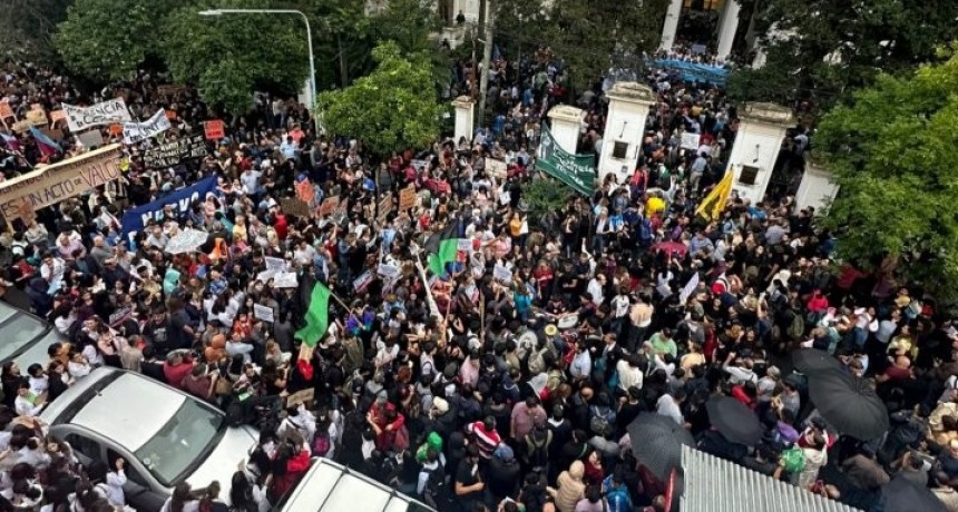 Docentes, no docentes, autoridades y estudiantes se movilizan hoy en 