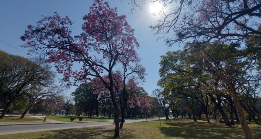 Tiempo: se espera una jornada agradable para este jueves en Tucumán