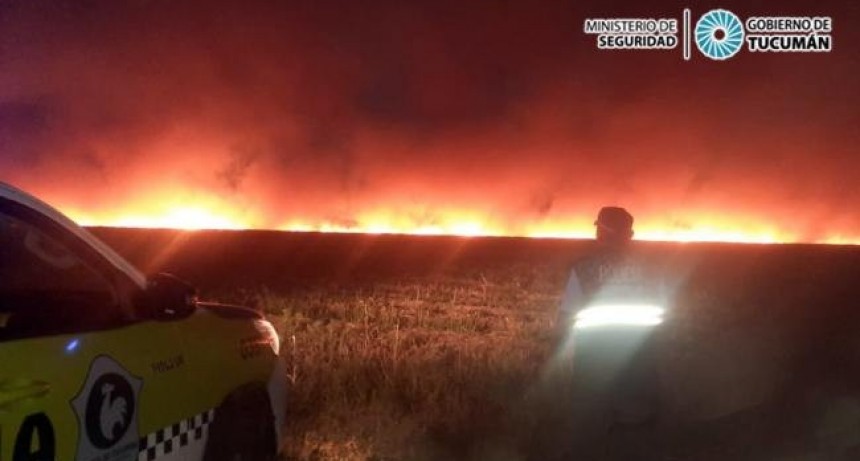 Atrapan a un pirómano tras prender fuego una zona de pastizales