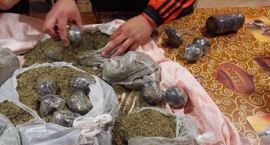Incautan más de 1 kg de marihuana en un camión de encomiendas en Burruyacú