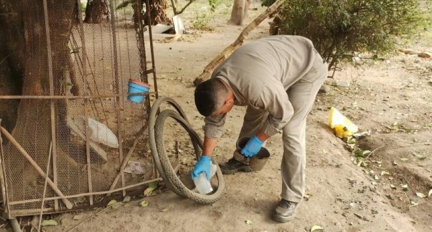 Dengue: Se cumplen 100 días sin casos en Tucumán