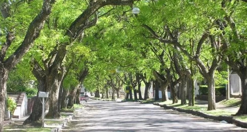 Proyectan la creación de corredores biológicos en San Miguel de Tucumán