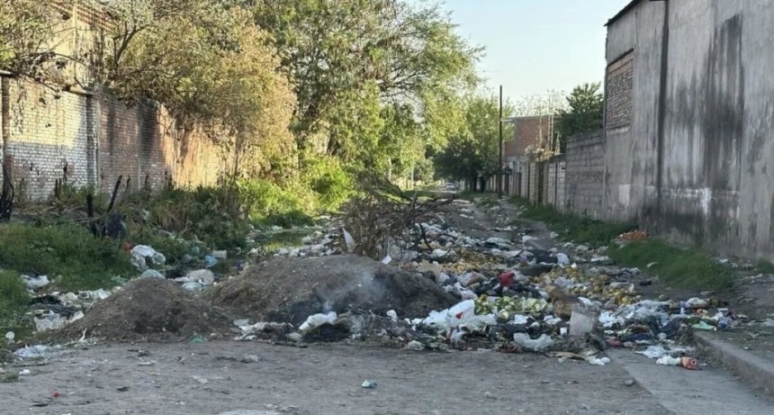 Cruce entre Carlos Ale y la secretaria de Ambiente por los basurales en San Miguel de Tucum&aacute;n