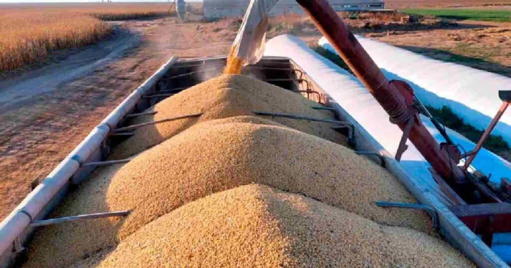 Récord en liquidación: el campo volcó US$7.107 millones en septiembre tras la suspensión de derechos de exportación