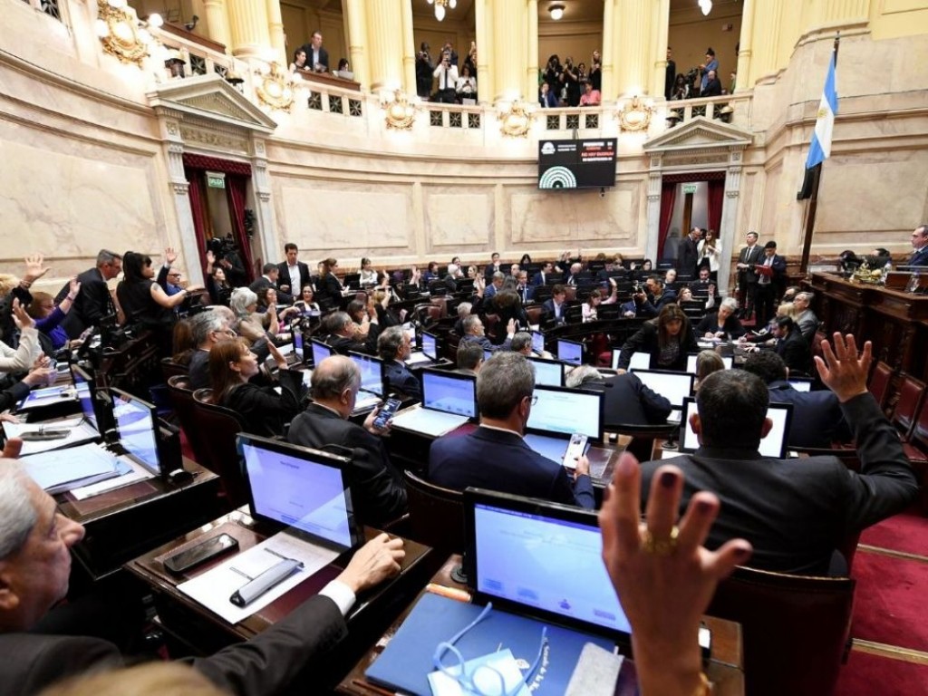 El Senado sesionará mañana para rechazar los vetos a leyes de financiamiento universitario y emergencia pediátrica