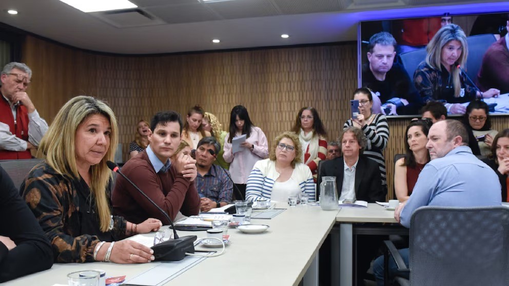 Familiares de víctimas del fentanilo contaminado testimonian en el Congreso