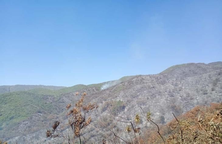Incendio forestal en La Cocha moviliza un amplio operativo de emergencia