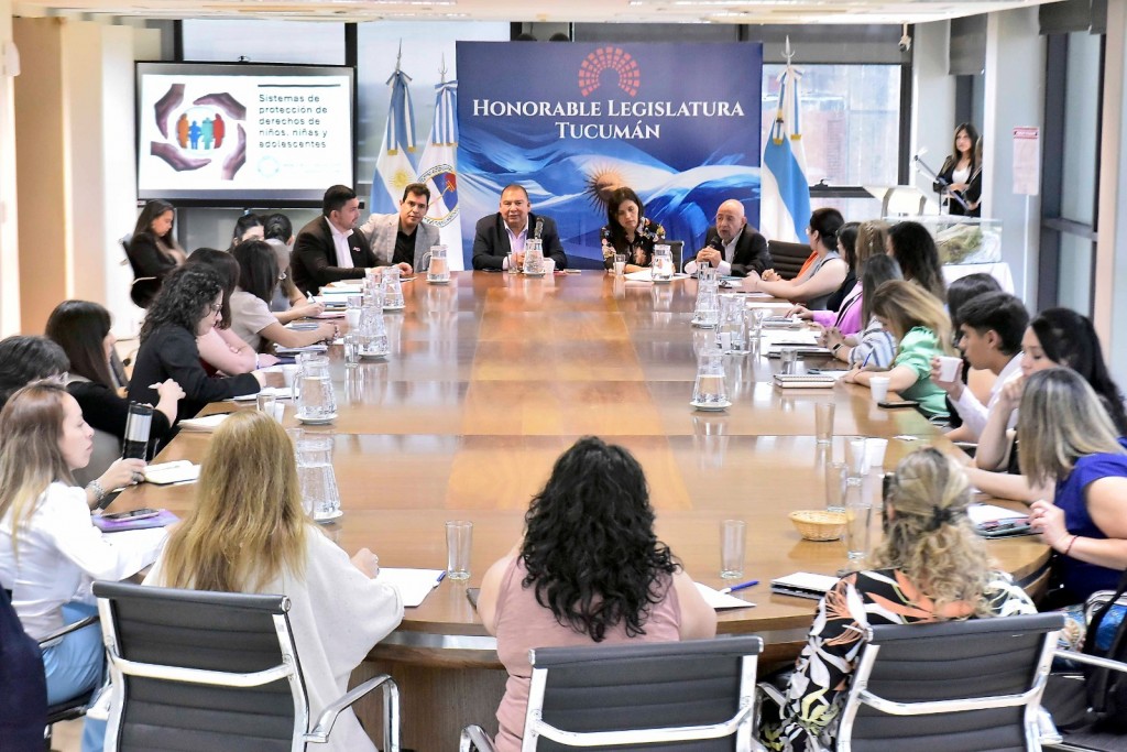 Convocan a colegios profesionales para analizar reformas a la ley de niñez