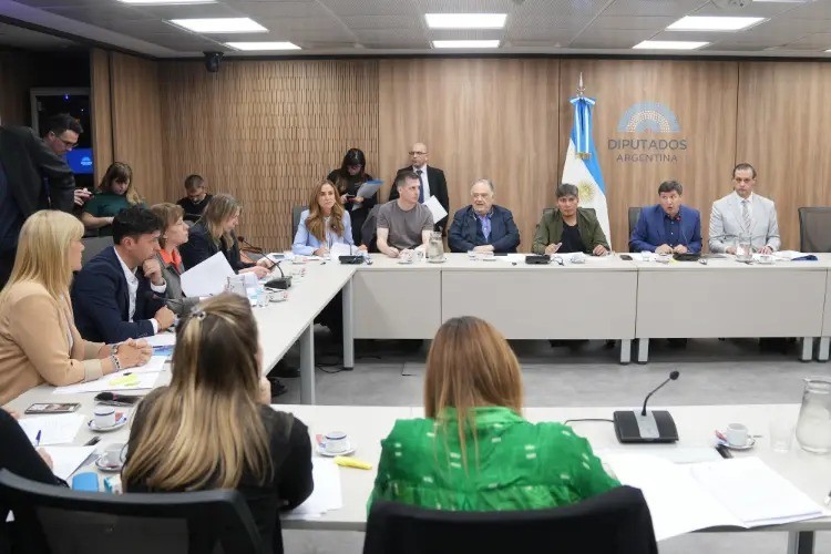 Diputados opositores impulsan una ANDIS colegiada y con voz de las organizaciones de discapacidad