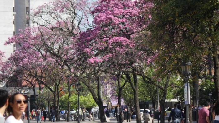 Tucumán se prepara para un jueves caluroso y un fin de semana con tormentas