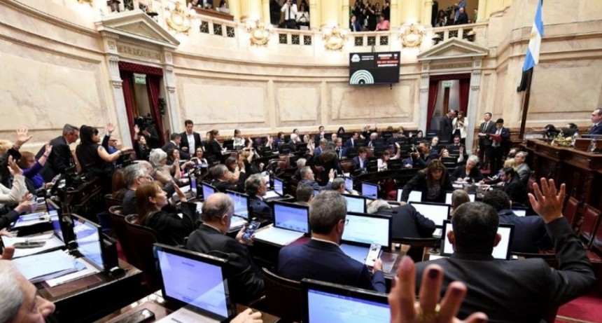 El Senado sesionará mañana para rechazar los vetos a leyes de financiamiento universitario y emergencia pediátrica