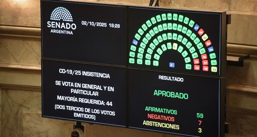 El Senado levantó los vetos a leyes de emergencia pediátrica y universidades