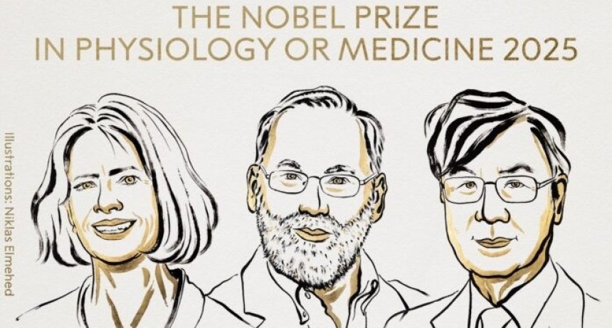 Nobel de Medicina 2025 para tres pioneros en la investigación del sistema inmunológico