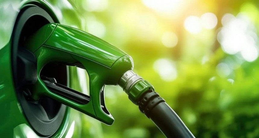 El Gobierno fijó los nuevos precios de octubre para el biodiesel y el bioetanol